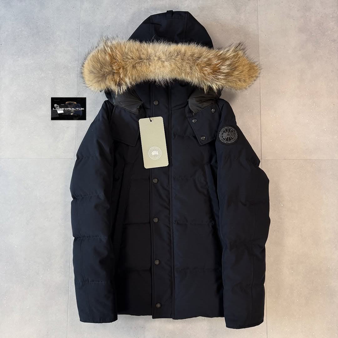Canada goose Wyndham