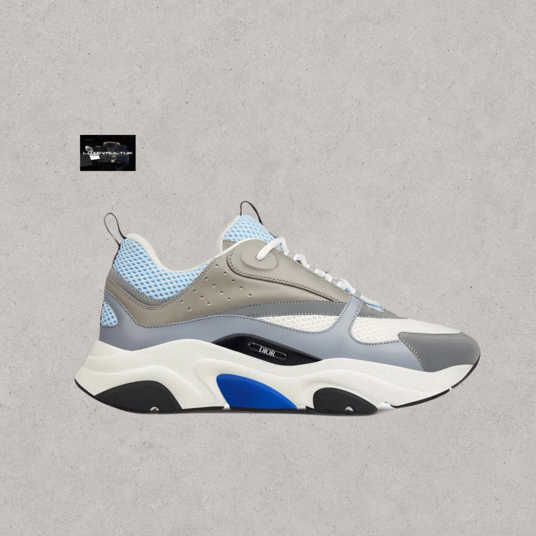 Dior B22