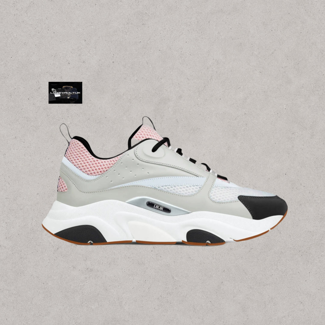 Dior B22