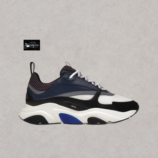 Dior B22
